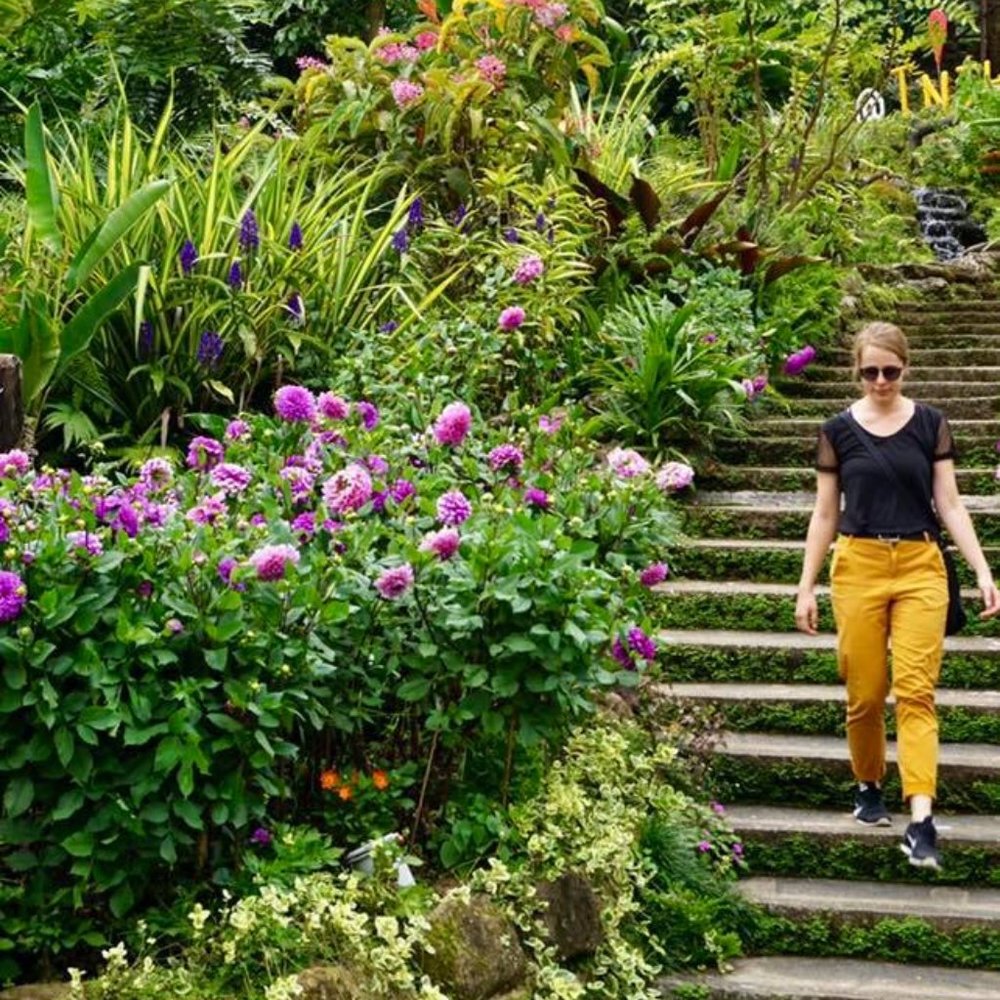 Meet your Posher, Molly